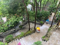 -巴倒烫陆派火锅山庄(南山总店)