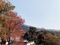 -塔川景区