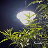 凉风习习，夏日限定