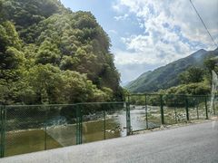 -牛背梁国家森林公园
