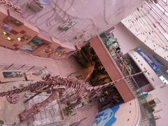 -陕西自然博物馆