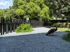 -J Create城市露营咖啡·简餐·宠物(上海动物园店)