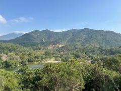 -深圳仙湖植物园