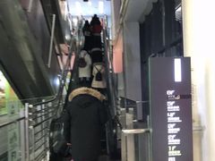-新荟城(望京店)