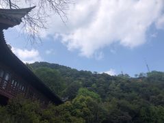 -韬光茶庵