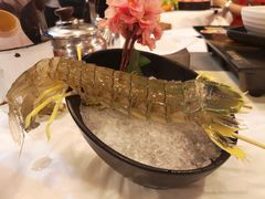 -鲜入围煮花胶鸡海鲜火锅