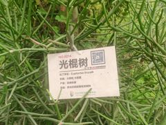 -呀路古热带植物园
