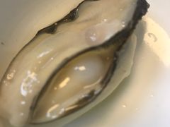 桑拿蠔-天宝食坊·啫啫煲大排档(西华路店)