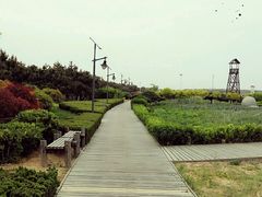 -青岛银沙滩