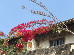 -三溪村