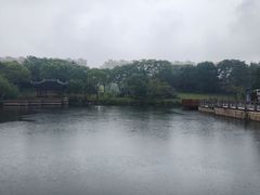 -上海崇明金茂凯悦酒店