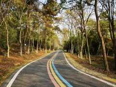 -南京金牛湖风景区