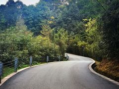 -中国大熊猫保护研究中心雅安碧峰峡基地