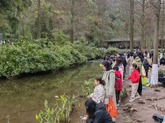 -重庆彩云湖湿地公园