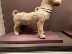 -上海浦东展览馆