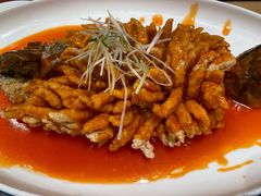 -茅溪菜·家常菜(九街店)