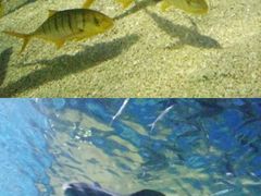 -常州海昌海洋探索馆