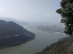 -铁山坪森林公园