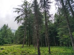 -硗碛藏寨·神木垒景区