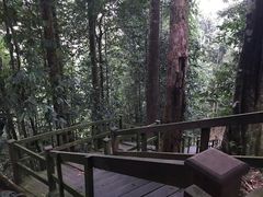 -乌鲁淡布隆国家公园