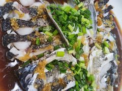 -MOJ coffee(瓯海泽雅水碓坑店)