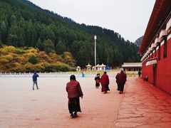-四川郎木寺