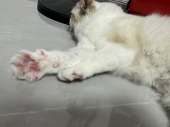 -听TA说宠咖·宠物生活馆(天韵水岸店)