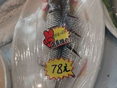 豉汁蒸钱塘江鲻鱼-春江酒楼(海宁盐官环城南路店)