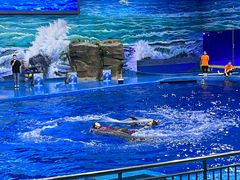 -多彩贵州城极地海洋世界