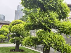 -西海子公园
