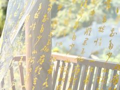 -广西壮族自治区药用植物园