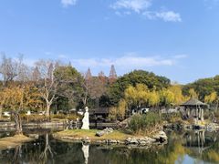 -无锡蠡湖国家湿地公园-蠡园
