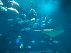 -福州罗源湾海洋世界旅游区