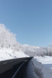 -大秃顶子山