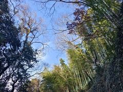 -上海佘山国家森林公园西佘山园