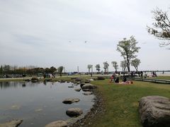 -滆湖低碳生态公园