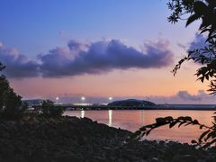 -上海吴淞炮台湾国家湿地公园