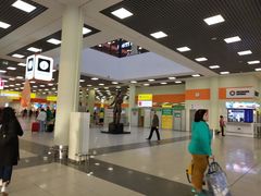 -谢列梅捷沃国际机场