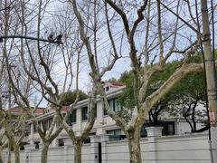 -徐家汇源景区-衡山公园