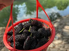 -楠溪江风景名胜区