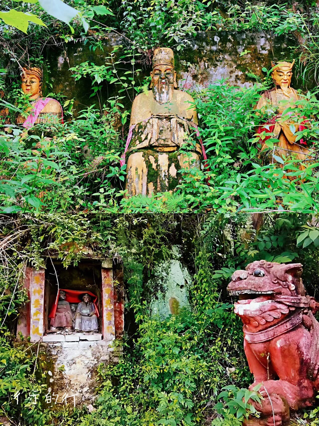 合川海佛寺|天上文曲星,人间水观音