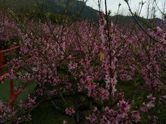 -松兰山海景大酒店·海鲜中餐厅