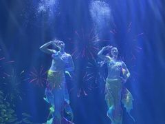 -华夏文旅海洋公园