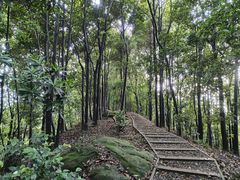 -南山植物园