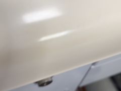 -紫燕百味鸡(广埠屯店)