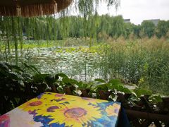 -三忘湖 SWANSEEN(柳荫公园店)