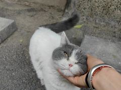 -厦门良筑精品酒店(厦门中山路店)