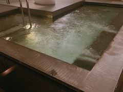 -上海柏悦酒店