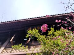 -十八棵（老龙井）御茶园(老龙井店)