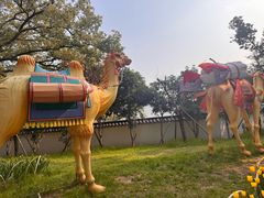 -无锡梅园公园